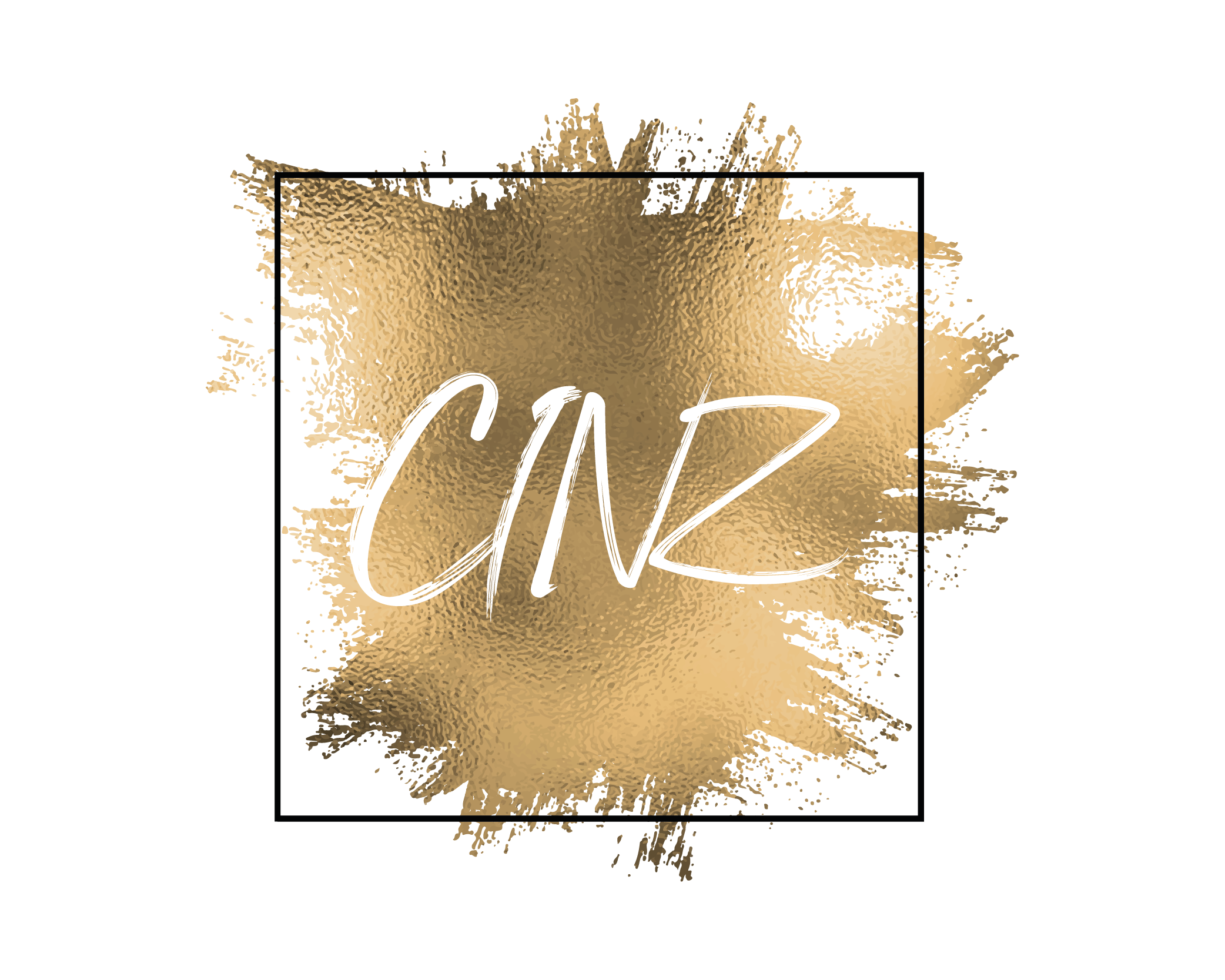 Logo ontwerp CINZ